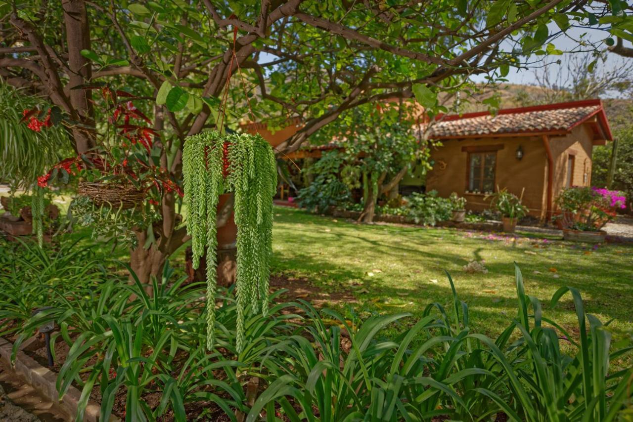 Bed and Breakfast Casa Navacoyan Малиналько Экстерьер фото